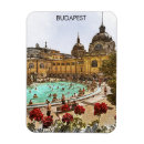 Search for spa rectangular magnets Souvenir