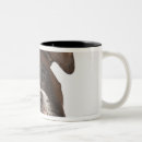 Recherche de écouteurs tasses Tir de studio