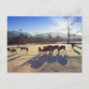 Search for prefecture postcards Tree