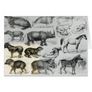 Recherche de sabots cartes postales Mammifère