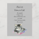 Search for fun cat postcards Pet
