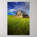Recherche de wheat field posters Agriculture