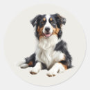 Search for cute australian shepherd dog stickers Animal
