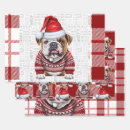 Recherche de bulldog wrapping paper Animaux domestiques