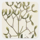 Search for herbalism stickers Plant