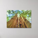 Recherche de naturel art Inspiration