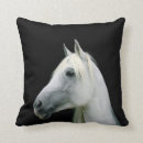 Recherche de poney blanc coussins Chevaux