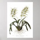 Search for drakes posters Vintage