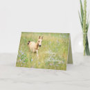 Search for foal birthday cards Pony