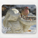 Search for sparrow electronics Ornithology