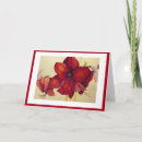 Search for amaryllis christmas cards Red