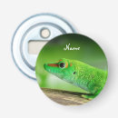 Recherche de lézard bar Faune