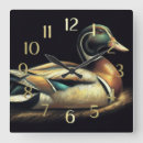 Search for decoy Mallard