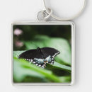 Search for wings butterfly keychains Green