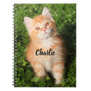 Search for cute fluffy cat notebooks Pet
