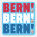 Recherche de bernie autocollants 2016