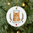 Search for orange cat ornaments Cute