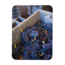 Recherche de pays basque magnets Province