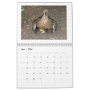 Search for duck calendars Mallard