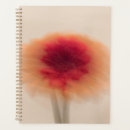 Search for spiral planners Abstract