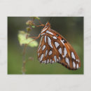 Recherche de fritillaire cartes postales Papillon
