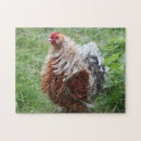 Recherche de rooster puzzles Grange