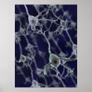 Recherche de neuronal art Neurones