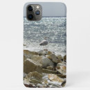 Search for seagulls iphone cases Water