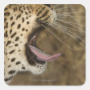 Search for south side stickers Animals hunting