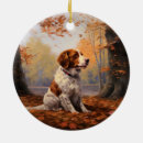 Search for brittany spaniel ornaments Pet