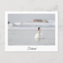 Search for finland postcards Suomi