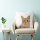 Search for ginger cat pillows Whimsical