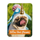 Search for pet pug magnets Animal