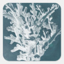 Search for coral stickers Coastal