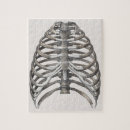 Search for human bones puzzles Health