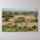 Recherche de kenya posters Le parc national d'amboseli