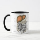 Search for digestion mugs Medical
