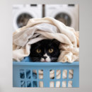Search for tux cat posters Kitty