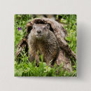 Recherche de tronc de badges Faune
