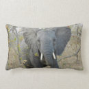 Recherche de éléphant africain coussins Animal