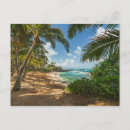 Recherche de cocotier vœux cartes Plage