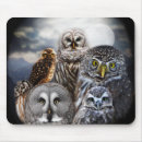Search for brown owl electronics Moon