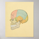 Search for greys anatomy posters Illustration