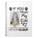 Search for maine coon office school Pet