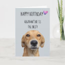 Search for 19 funny birthday cards Quarantine