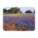 Recherche de pinceau indien maison deco Printemps