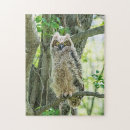 Search for birds of prey puzzles Predator