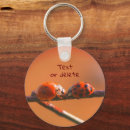 Search for ladybug keychains Nature