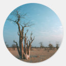 Search for bare tree stickers Arid