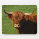 Search for cattle mousepads Scottish